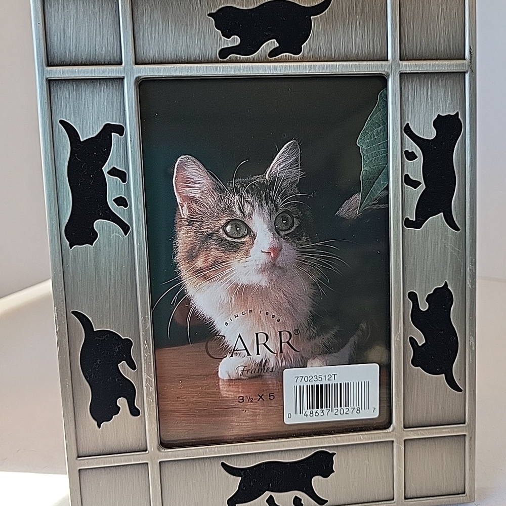 Carr Cat Silhouette Photo Frame - Silver/Black